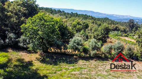 Terreno para venda em Vila Pouca, Vouzela
