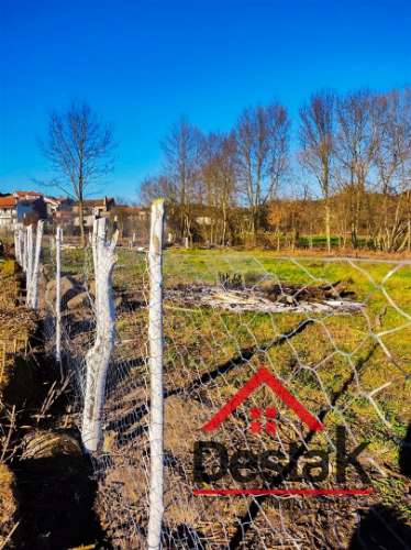 Terreno Rústico Vasconha, Vouzela