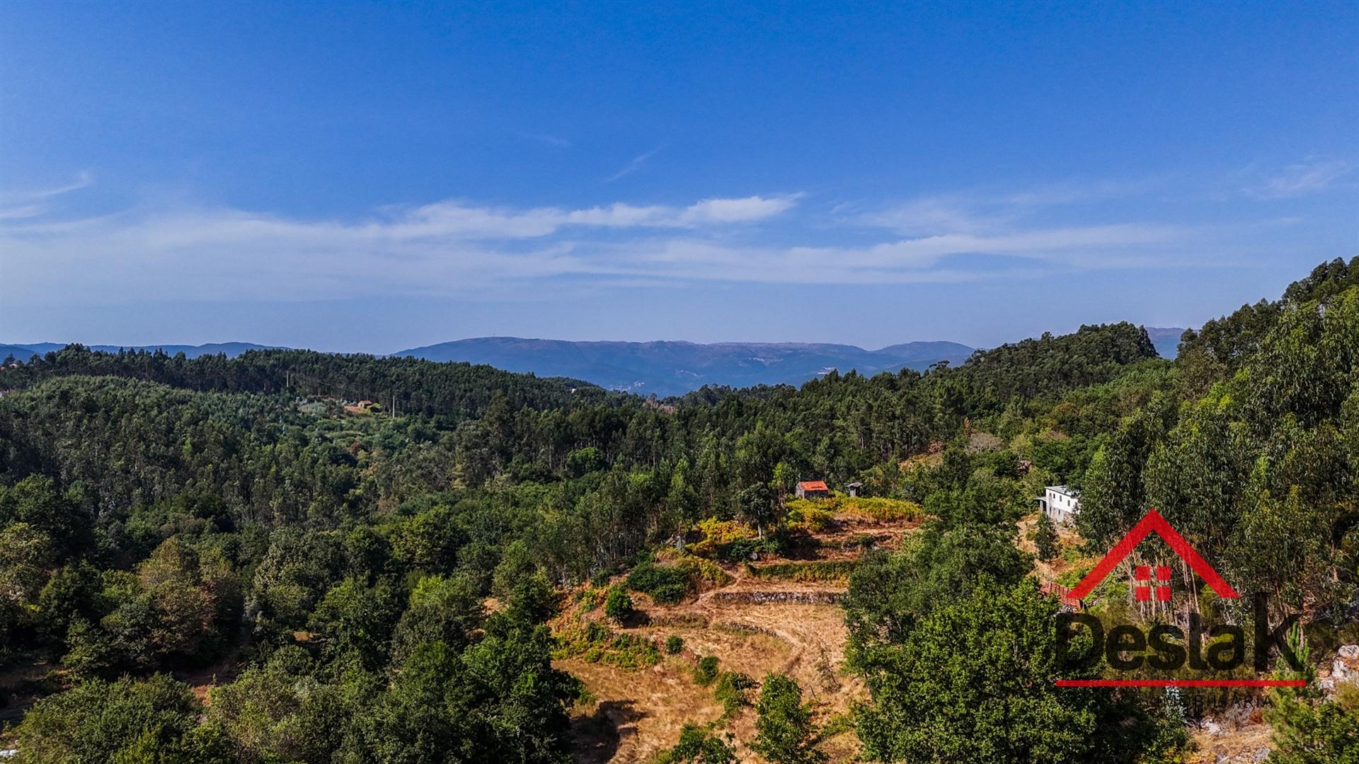 Moradia V3 Quinta com 2 Hectares – Arcozelo das Maias, Oliveira de Frades