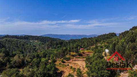 Moradia V3 Quinta com 2 Hectares – Arcozelo das Maias, Oliveira de Frades