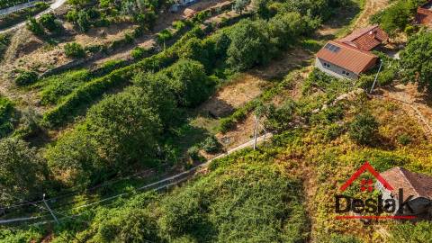 Moradia V3 Quinta com 2 Hectares – Arcozelo das Maias, Oliveira de Frades