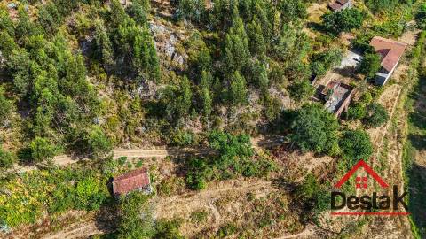 Moradia V3 Quinta com 2 Hectares – Arcozelo das Maias, Oliveira de Frades