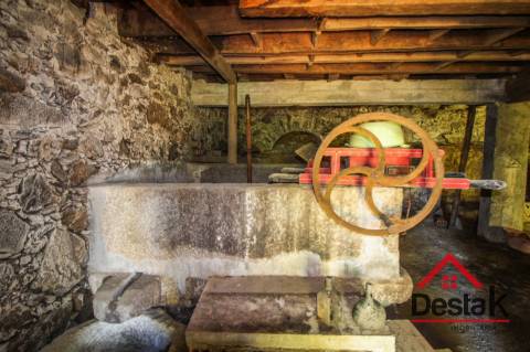 Fantástica V5, em Sever do Vouga