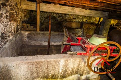 Fantástica V5, em Sever do Vouga