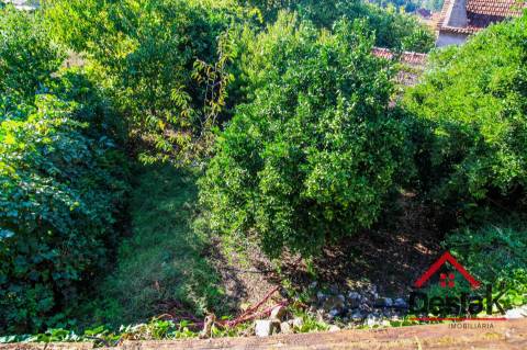 Moradia de Pedra em venda para renovar, em Oliveira de Frades