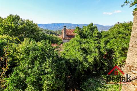 Moradia de Pedra em venda para renovar, em Oliveira de Frades