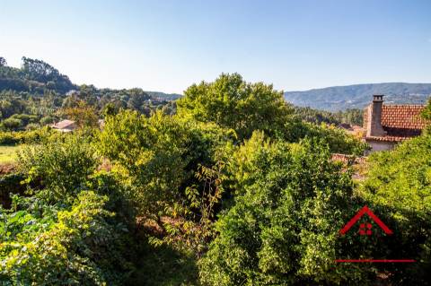 Moradia de Pedra em venda para renovar, em Oliveira de Frades