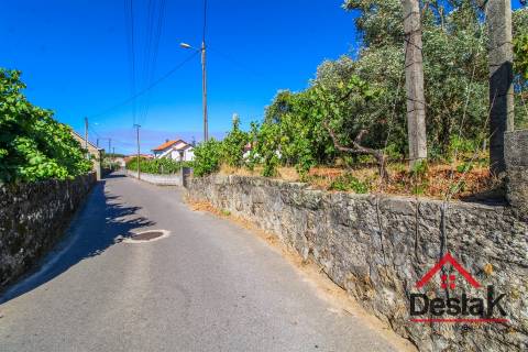 Quinta em Santa Cruz da Trapa, São Pedro do Sul