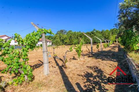 Quinta em Santa Cruz da Trapa, São Pedro do Sul