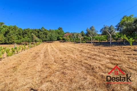 Quinta em Santa Cruz da Trapa, São Pedro do Sul