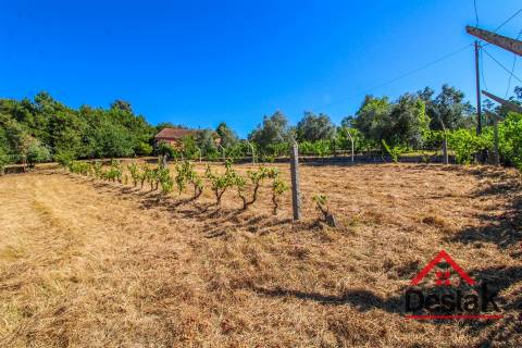 Quinta em Santa Cruz da Trapa, São Pedro do Sul