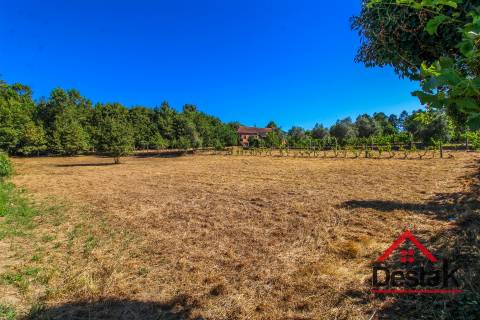 Quinta em Santa Cruz da Trapa, São Pedro do Sul