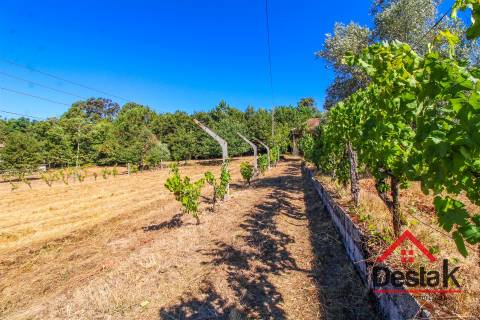 Quinta em Santa Cruz da Trapa, São Pedro do Sul