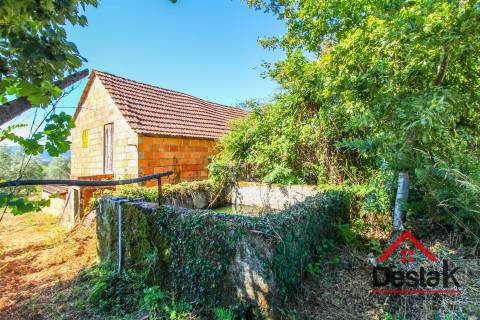 Quinta em Santa Cruz da Trapa, São Pedro do Sul