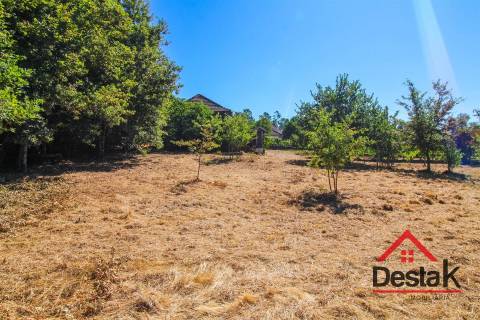 Quinta em Santa Cruz da Trapa, São Pedro do Sul