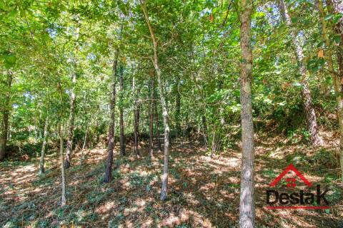 Quinta em Santa Cruz da Trapa, São Pedro do Sul