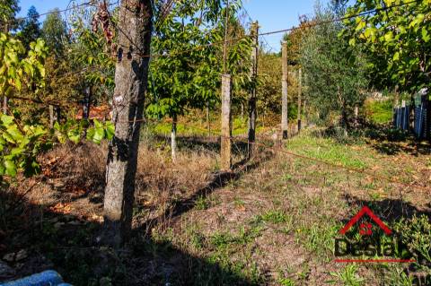 Moradia V3 para Remodelação – Oportunidade Única!