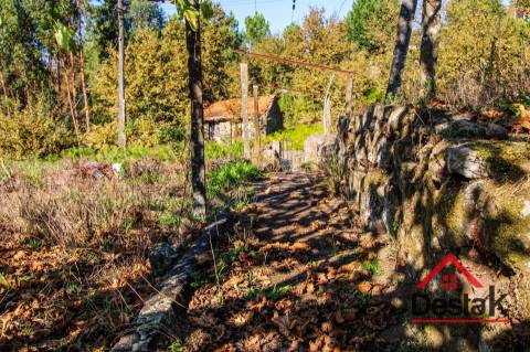 Moradia V3 para Remodelação – Oportunidade Única!