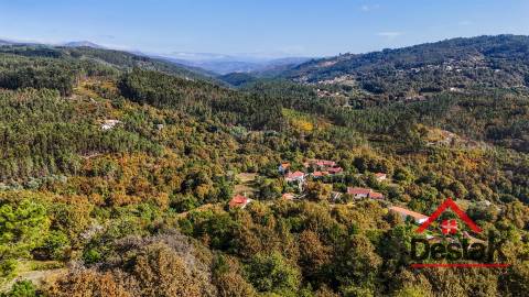 Propriedade com duas moradias em pedra e terreno para venda em Vilar, São Pedro do Sul