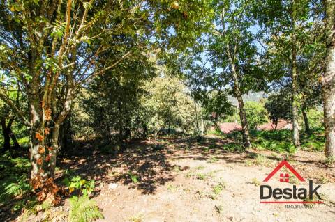 Propriedade com duas moradias em pedra e terreno para venda em Vilar, São Pedro do Sul