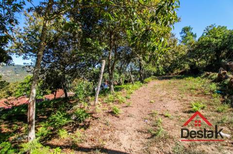 Propriedade com duas moradias em pedra e terreno para venda em Vilar, São Pedro do Sul