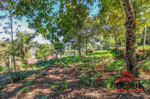 Propriedade com duas moradias em pedra e terreno para venda em Vilar, São Pedro do Sul