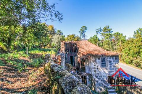 Propriedade com duas moradias em pedra e terreno para venda em Vilar, São Pedro do Sul