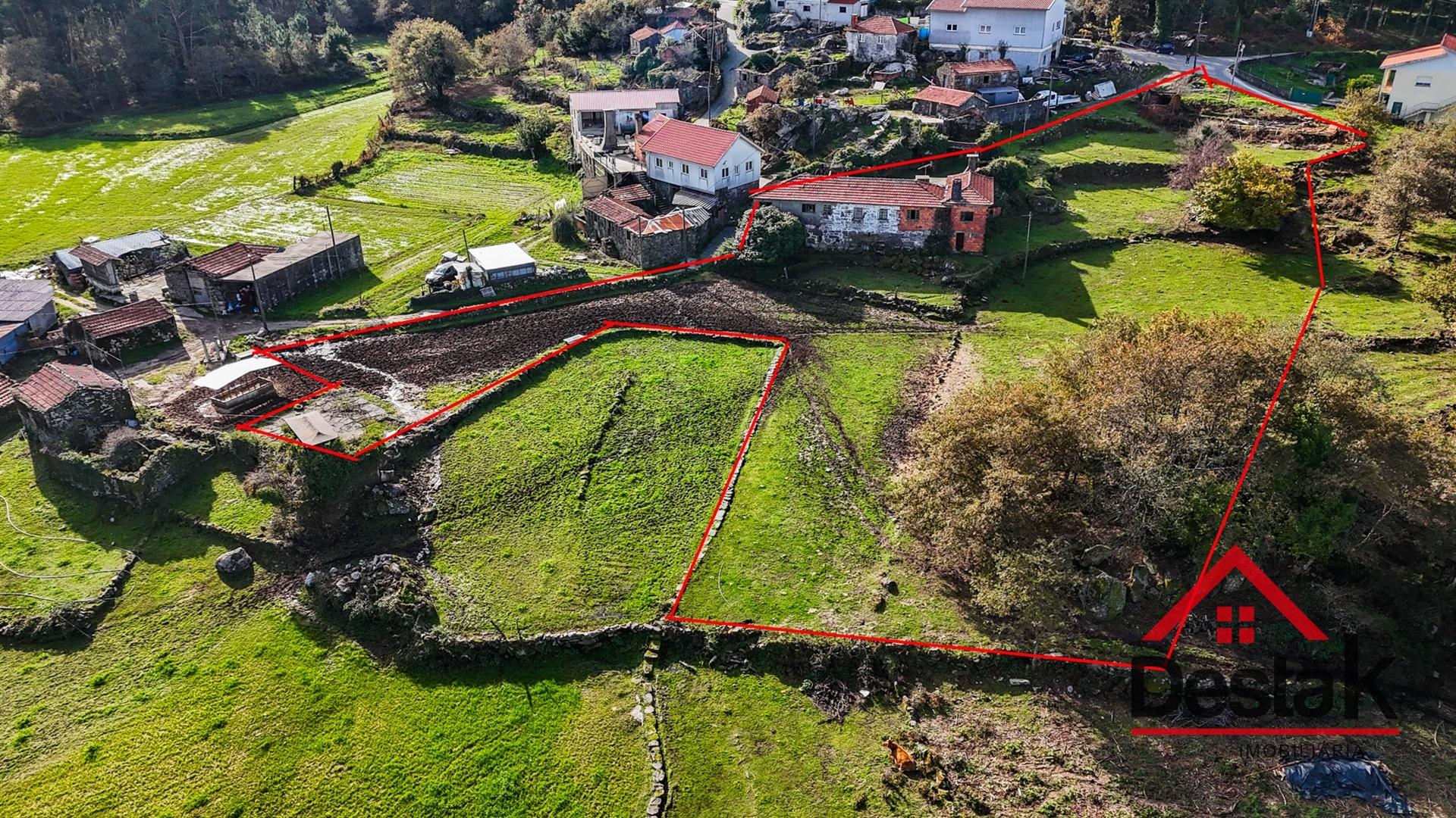 Fantástica quintinha no Ladário, Oliveira de Frades!