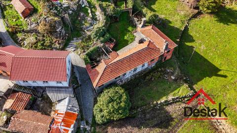 Fantástica quintinha no Ladário, Oliveira de Frades!