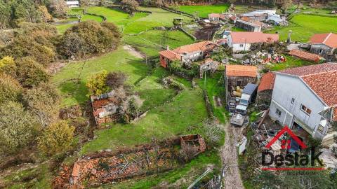 Fantástica quintinha no Ladário, Oliveira de Frades!