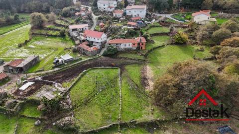 Fantástica quintinha no Ladário, Oliveira de Frades!