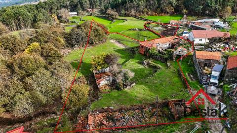 Fantástica quintinha no Ladário, Oliveira de Frades!