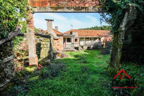 Fantástica quintinha no Ladário, Oliveira de Frades!