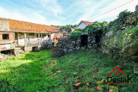 Fantástica quintinha no Ladário, Oliveira de Frades!