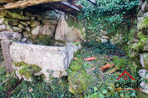Fantástica quintinha no Ladário, Oliveira de Frades!