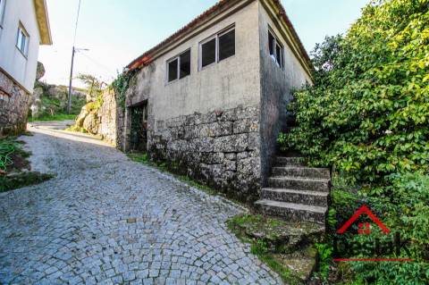 Fantástica quintinha no Ladário, Oliveira de Frades!