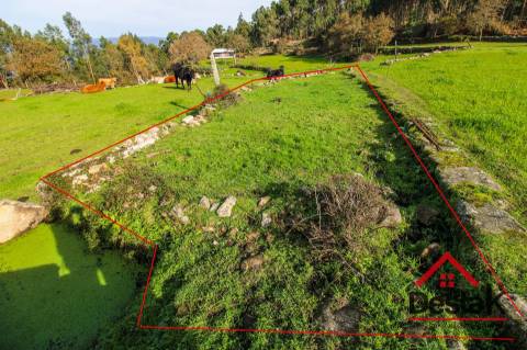 Fantástica quintinha no Ladário, Oliveira de Frades!