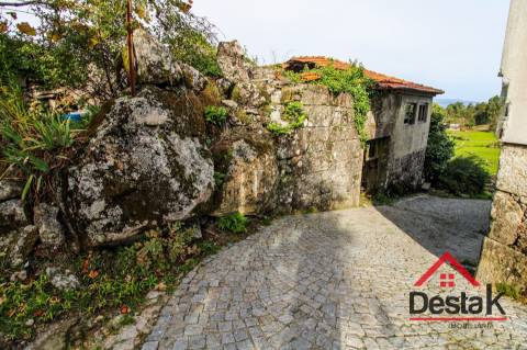 Fantástica quintinha no Ladário, Oliveira de Frades!