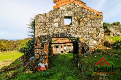 Fantástica quintinha no Ladário, Oliveira de Frades!