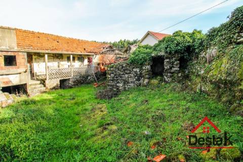 Fantástica quintinha no Ladário, Oliveira de Frades!
