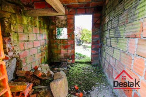 Fantástica quintinha no Ladário, Oliveira de Frades!