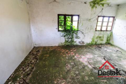 Fantástica quintinha no Ladário, Oliveira de Frades!