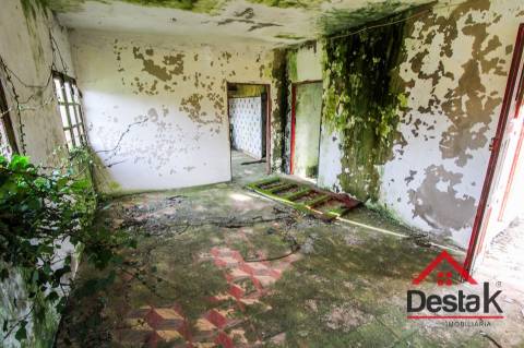 Fantástica quintinha no Ladário, Oliveira de Frades!