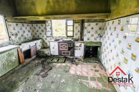 Fantástica quintinha no Ladário, Oliveira de Frades!