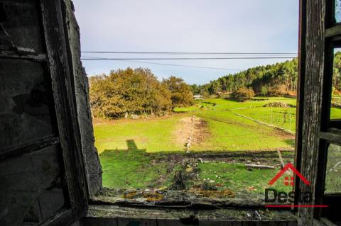 Fantástica quintinha no Ladário, Oliveira de Frades!