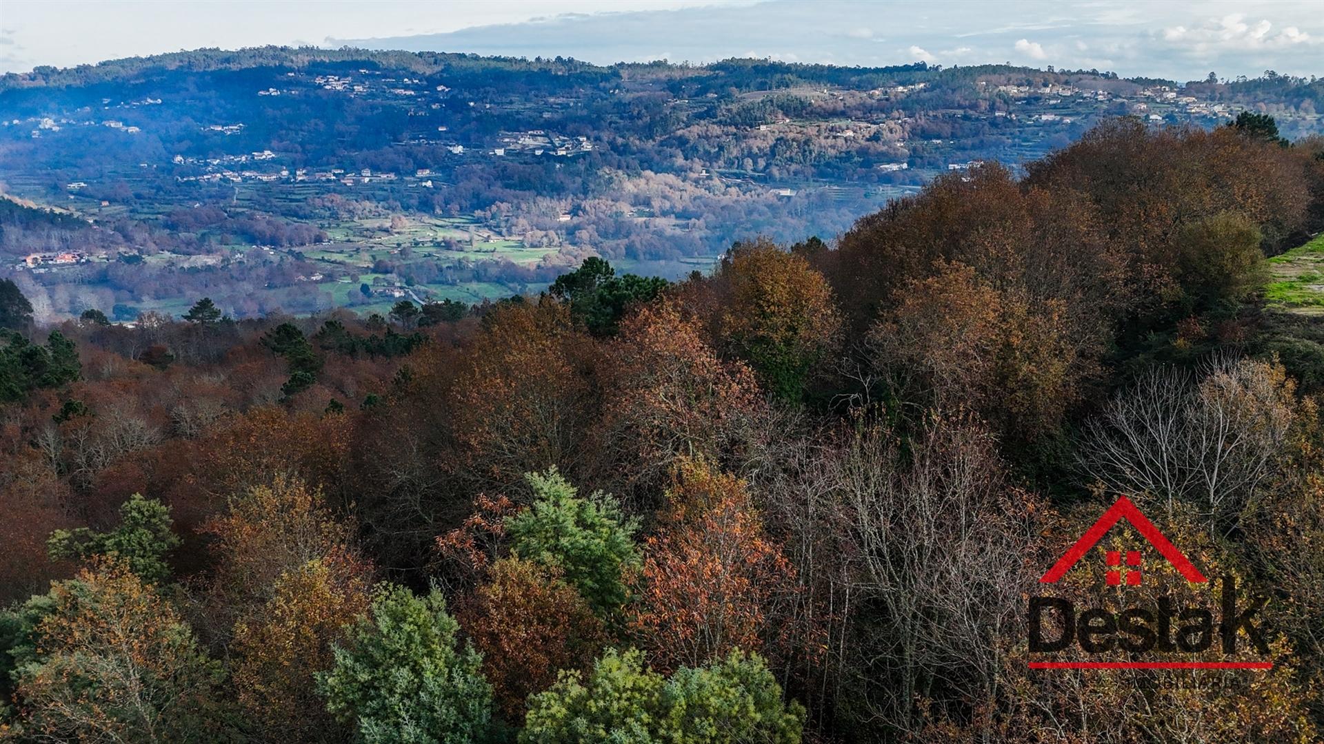 Terreno com 14.000 m² – Parcialmente Urbanizável, a 1 Minuto do Centro de São Pedro do Sul