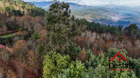 Terreno com 14.000 m² – Parcialmente Urbanizável, a 1 Minuto do Centro de São Pedro do Sul