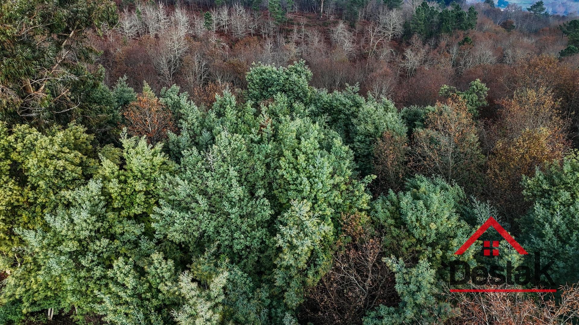 Terreno com 14.000 m² – Parcialmente Urbanizável, a 1 Minuto do Centro de São Pedro do Sul