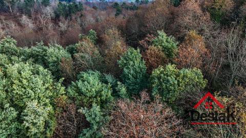 Terreno com 14.000 m² – Parcialmente Urbanizável, a 1 Minuto do Centro de São Pedro do Sul