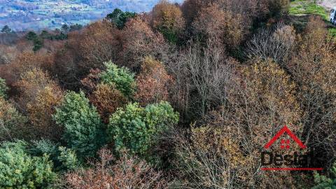 Terreno com 14.000 m² – Parcialmente Urbanizável, a 1 Minuto do Centro de São Pedro do Sul
